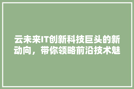 云未来IT创新科技巨头的新动向，带你领略前沿技术魅力！