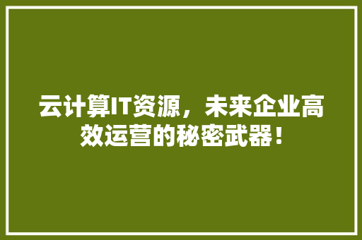 云计算IT资源，未来企业高效运营的秘密武器！