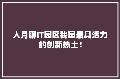 人月聊IT园区我国最具活力的创新热土！ 英文谷歌算法