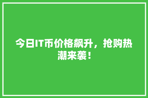 今日IT币价格飙升，抢购热潮来袭！ 360搜优化
