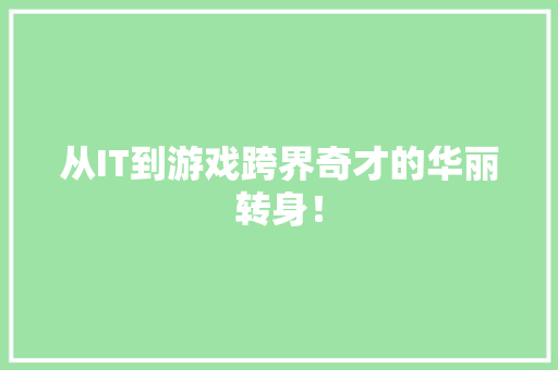 从IT到游戏跨界奇才的华丽转身！