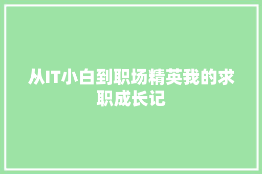 从IT小白到职场精英我的求职成长记