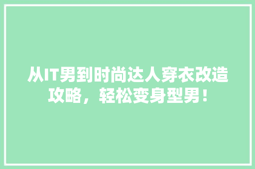 从IT男到时尚达人穿衣改造攻略，轻松变身型男！ seo技术