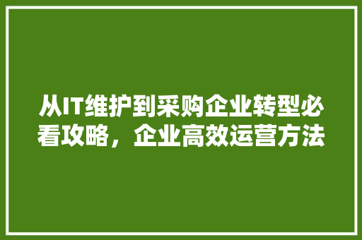 从IT维护到采购企业转型必看攻略，企业高效运营方法！