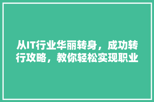从IT行业华丽转身，成功转行攻略，教你轻松实现职业跃迁！ seo技术