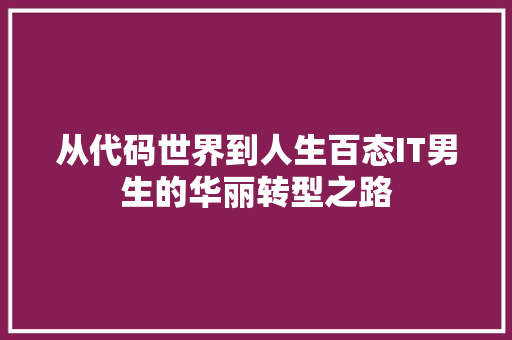 从代码世界到人生百态IT男生的华丽转型之路 网站开发
