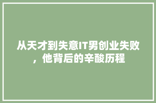 从天才到失意IT男创业失败，他背后的辛酸历程