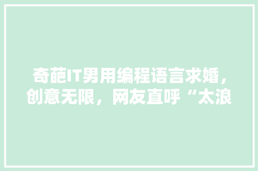 奇葩IT男用编程语言求婚，创意无限，网友直呼“太浪漫了！” 网站优化