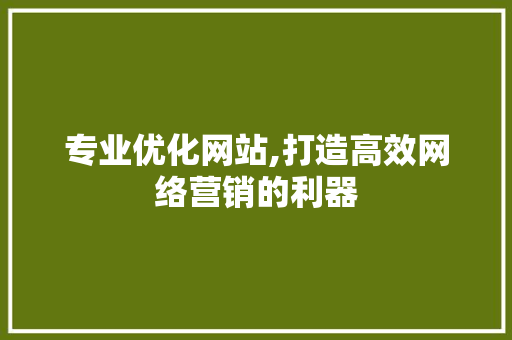 专业优化网站,打造高效网络营销的利器