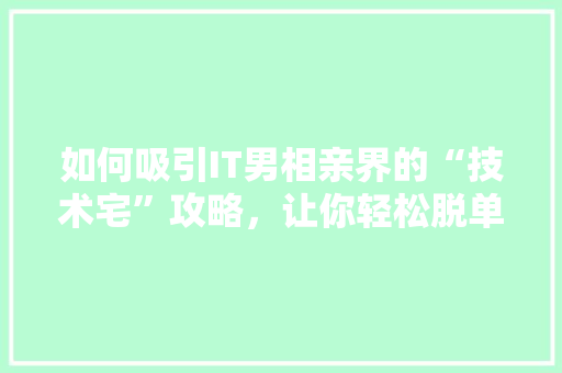 如何吸引IT男相亲界的“技术宅”攻略，让你轻松脱单 seo技术