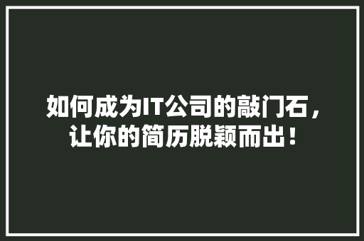 如何成为IT公司的敲门石，让你的简历脱颖而出！ 网站开发
