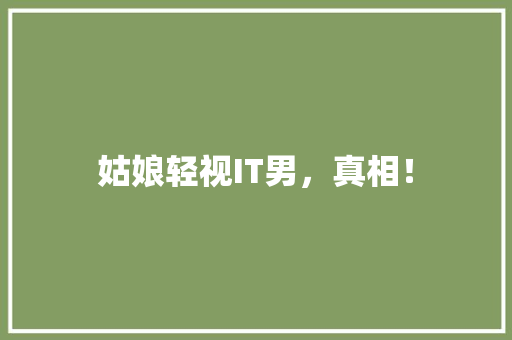 姑娘轻视IT男，真相！ 小程序开发