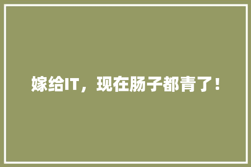 嫁给IT，现在肠子都青了！