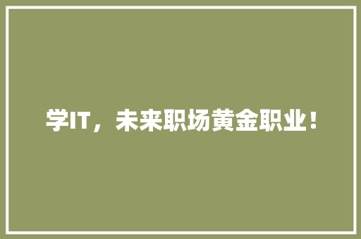 学IT，未来职场黄金职业！