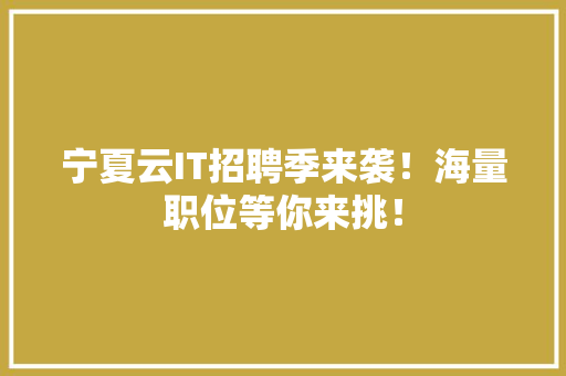 宁夏云IT招聘季来袭！海量职位等你来挑！
