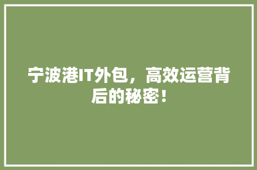 宁波港IT外包，高效运营背后的秘密！ 小程序开发