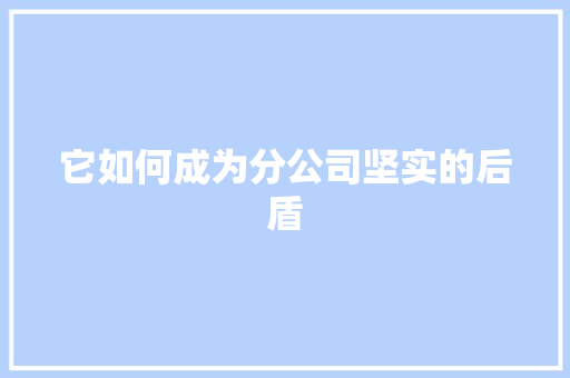 它如何成为分公司坚实的后盾