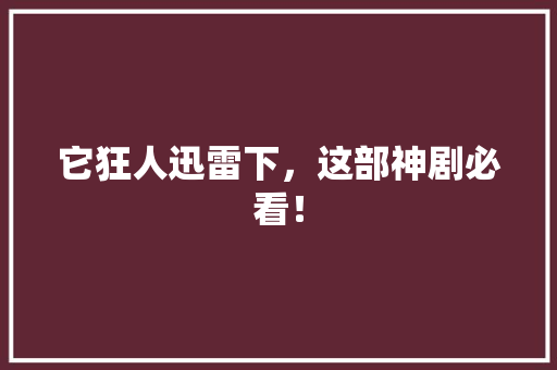 它狂人迅雷下，这部神剧必看！