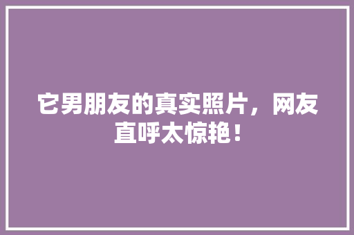 它男朋友的真实照片，网友直呼太惊艳！ AI技术学习