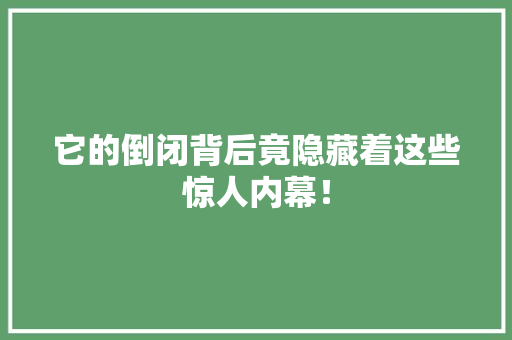 它的倒闭背后竟隐藏着这些惊人内幕！