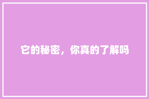 它的秘密，你真的了解吗