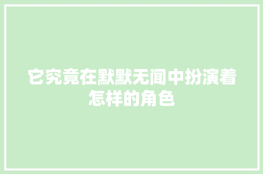 它究竟在默默无闻中扮演着怎样的角色