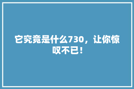 它究竟是什么730，让你惊叹不已！ AI技术学习