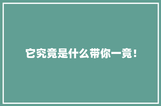 它究竟是什么带你一竟! seo技术 它究竟是什么带你一竟! seo技术