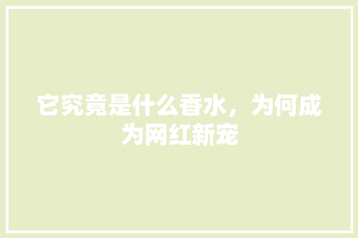 它究竟是什么香水，为何成为网红新宠 网站开发