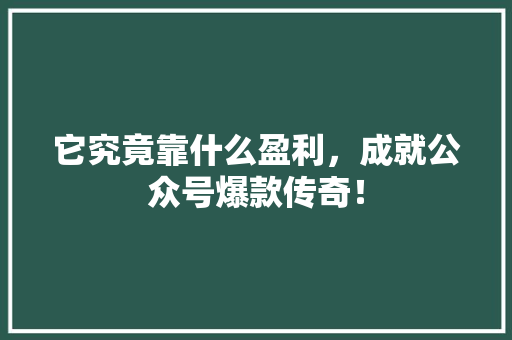 它究竟靠什么盈利，成就公众号爆款传奇！