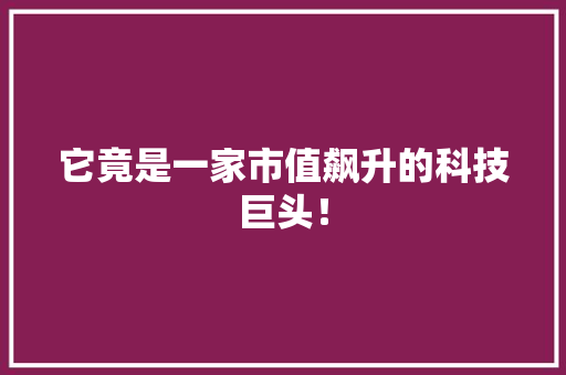 它竟是一家市值飙升的科技巨头！