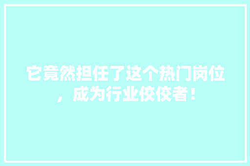 它竟然担任了这个热门岗位，成为行业佼佼者！