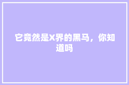 它竟然是X界的黑马，你知道吗 英文谷歌算法