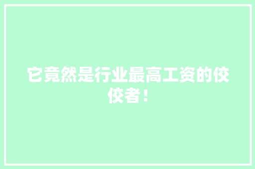 它竟然是行业最高工资的佼佼者！