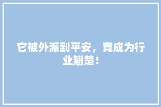 它被外派到平安，竟成为行业翘楚！