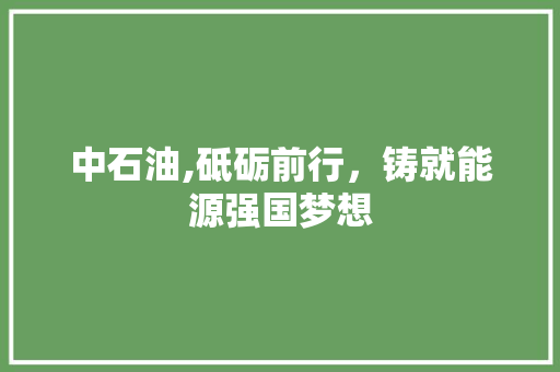 中石油,砥砺前行，铸就能源强国梦想 中石油,砥砺前行，铸就能源强国梦想 360搜优化