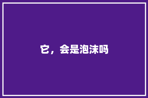 它，会是泡沫吗