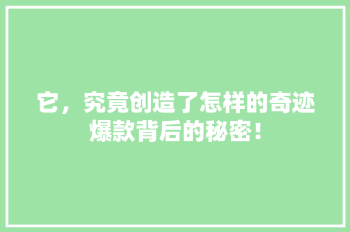 它，究竟创造了怎样的奇迹爆款背后的秘密！