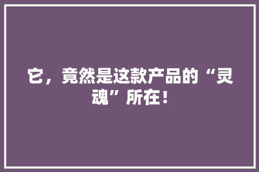 它，竟然是这款产品的“灵魂”所在！