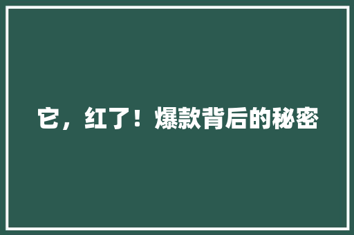 它，红了！爆款背后的秘密 英文谷歌算法