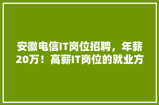 安徽电信IT岗位招聘，年薪20万！高薪IT岗位的就业方法！