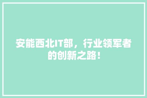安能西北IT部，行业领军者的创新之路！