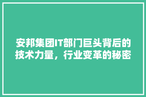 安邦集团IT部门巨头背后的技术力量，行业变革的秘密！