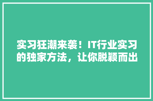 实习狂潮来袭！IT行业实习的独家方法，让你脱颖而出