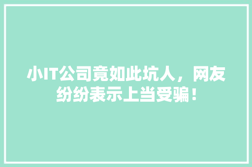 小IT公司竟如此坑人，网友纷纷表示上当受骗！