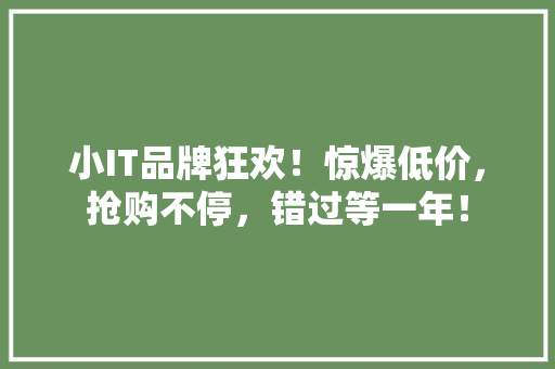 小IT品牌狂欢！惊爆低价，抢购不停，错过等一年！