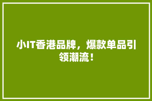 小IT香港品牌，爆款单品引领潮流！
