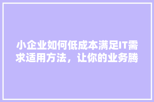 小企业如何低成本满足IT需求适用方法，让你的业务腾飞