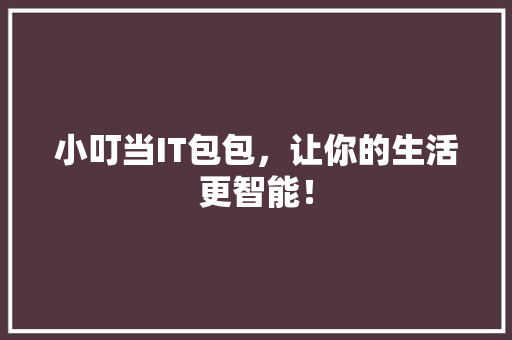 小叮当IT包包，让你的生活更智能！ 英文谷歌算法