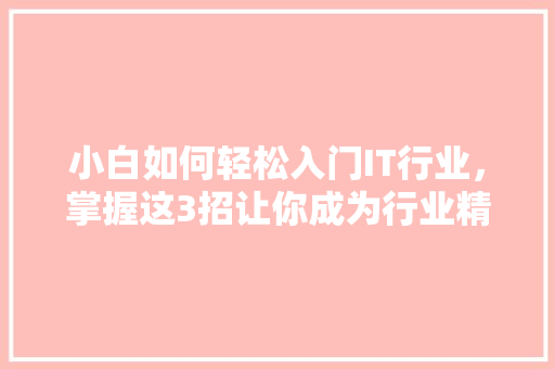小白如何轻松入门IT行业，掌握这3招让你成为行业精英！ 360搜优化